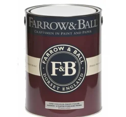 Farrow and Ball Masonry & Plaster Stabilising Primer