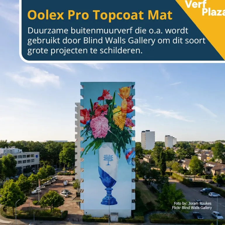 Oolex Pro Topcoat Mat
